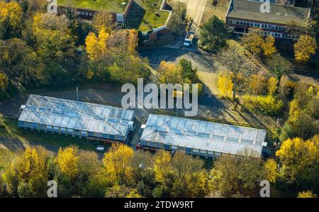 Vue aérienne, village de conteneurs Fernewaldstraße, entouré d'arbres caduques d'automne, Kirchhellen-Süd, Bottrop, région de la Ruhr, Rhénanie du Nord-Westphalie, G Banque D'Images