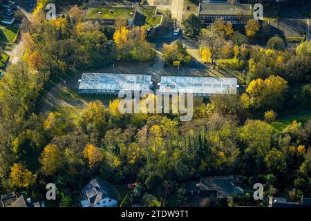 Vue aérienne, village de conteneurs Fernewaldstraße, entouré d'arbres caduques d'automne, Kirchhellen-Süd, Bottrop, région de la Ruhr, Rhénanie du Nord-Westphalie, G Banque D'Images