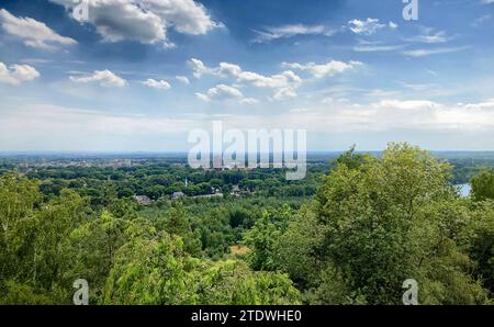 Cette image capture la beauté sereine d'une vue luxuriante et verdoyante, offrant une vue panoramique sur un paysage de banlieue en contrebas. L'accent est mis sur le feuillage dense au premier plan, qui cède la place à une vaste zone suburbaine marquée par des bâtiments, des clairières et des parcelles d'arbres. L'horizon est dominé par un ciel bleu doux avec des nuages sinueux, suggérant une journée lumineuse et paisible. Le point de vue semble être d'une altitude élevée, peut-être une colline ou une plate-forme surélevée, donnant une large perspective sur le terrain. L'atmosphère est claire, sans signes de pollution, et l'environnement naturel et artificiel Banque D'Images