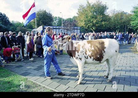 Pinkenveiling, Santpoort, Santpoort, 10-10-1997, Whizgle nouvelles du passé, adaptées à l'avenir. Explorez les récits historiques, l'image de l'agence néerlandaise avec une perspective moderne, comblant le fossé entre les événements d'hier et les perspectives de demain. Un voyage intemporel façonnant les histoires qui façonnent notre avenir Banque D'Images