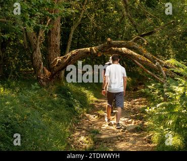 Tronc cassé sur le chemin des Dieux. Entre Emilie-Romagne et Toscane. Provinces de Bologne et Florence, Italie Banque D'Images