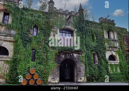 Calistoga, Californie, États-Unis. L'extérieur du bâtiment couvert de lierre au Château Montelena dans la vallée de Napa. Banque D'Images