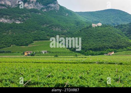 San Michele all’Adige (St. Michael an der Etsch) : Castello di Monreale (Château de Königsberg), Adige (Etsch) Vallée dans le Trentin, Trentin-Tyrol du Sud, IT Banque D'Images