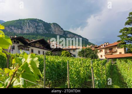 Kurtatsch an der Weinstraße (Cortaccia sulla Strada del Vino) : maisons, vignobles dans le Tyrol du Sud, Trentin-Tyrol du Sud, Italie Banque D'Images