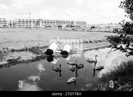 Phase de construction Zuiderpolder, Construction, fosses de construction, Nouvelle construction, 27-07-1988, Whizgle nouvelles du passé, adaptées à l'avenir. Explorez les récits historiques, l'image de l'agence néerlandaise avec une perspective moderne, comblant le fossé entre les événements d'hier et les perspectives de demain. Un voyage intemporel façonnant les histoires qui façonnent notre avenir. Banque D'Images