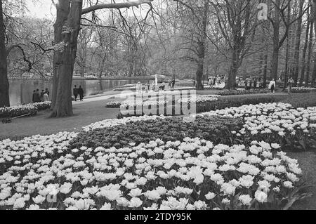 Vue d'ensemble Keukenhof, domaine de la Fondation Keukenhof à lisse, 04-05-1972, Whizgle nouvelles du passé, adaptées à l'avenir. Explorez les récits historiques, l'image de l'agence néerlandaise avec une perspective moderne, comblant le fossé entre les événements d'hier et les perspectives de demain. Un voyage intemporel façonnant les histoires qui façonnent notre avenir. Banque D'Images