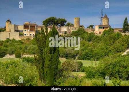 Village de Montuïri et champs cultivés près du village, vert au printemps (Majorque, Îles Baléares, Espagne) ESP : Pueblo de Montuïri y campos rurales Banque D'Images