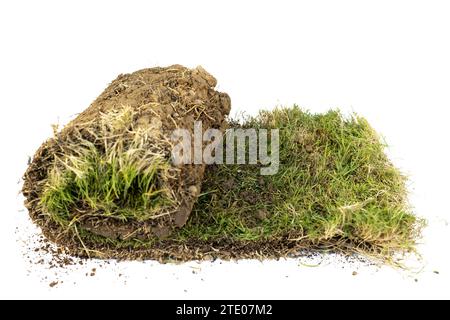 Morceau d'herbe avec des racines isolées sur fond blanc Banque D'Images