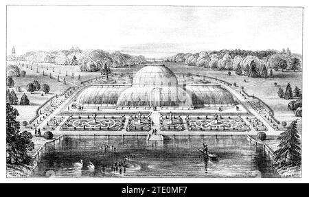 Gravure vintage 1854 du Grand Conservatoire, ou Palm House, et terrain à Kew Gardens, Londres, Angleterre. Banque D'Images
