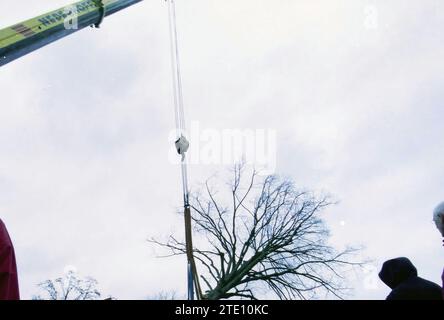 Koningslinde, Vijfhuizen, 20-11-2001, Whizgle nouvelles du passé, adaptées à l'avenir. Explorez les récits historiques, l'image de l'agence néerlandaise avec une perspective moderne, comblant le fossé entre les événements d'hier et les perspectives de demain. Un voyage intemporel façonnant les histoires qui façonnent notre avenir. Banque D'Images