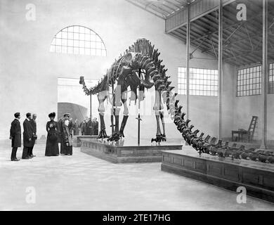 Madrid, 12/02/1913. Au Muséum d'Histoire naturelle. Sa Majesté la Reine María Cristina (x), accompagnée de sa sœur Infanta Beatriz, a inauguré l’exposition de la reproduction du squelette de Diplodocus Carnegii, une réplique du squelette connu sous le nom de Dippy, qui se trouve au Carnegie Museum of Natural History à Pittsburgh. Crédit : Album / Archivo ABC / Julio Duque Banque D'Images