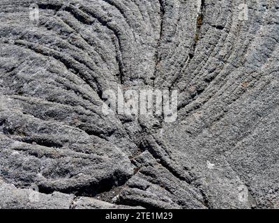 Forme stange d'un arbre dans la coulée de lave solidifiée du piton de la Fournaise, Réunion, France. Coulées de lave Pahoehoe Banque D'Images