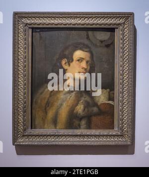 Portrait du jeune homme par Giorgione Banque D'Images