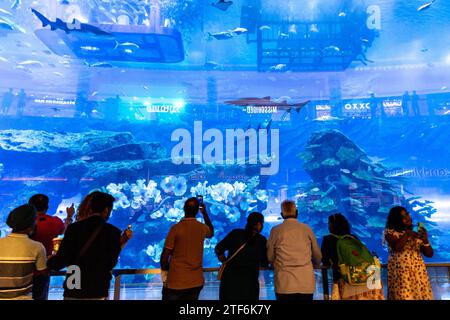 Dubaï, Émirats arabes Unis. 7 décembre 2023. Les visiteurs observent des poissons sauvages dans un aquarium situé dans le centre commercial de Dubaï, avec des reflets de vitrines de magasins sur le verre de l'aquarium dans le centre de Dubaï. La COP28, qui se déroule de novembre 30 à décembre 12, se concentre sur la façon dont des nations particulières ont géré la réalisation de leurs objectifs climatiques. La Conférence de Dubaï se concentre également sur les communautés les plus vulnérables et sur le Fonds pour pertes et dommages. (Image de crédit : © Dominika Zarzycka/SOPA Images via ZUMA Press Wire) USAGE ÉDITORIAL SEULEMENT! Non destiné à UN USAGE commercial ! Banque D'Images