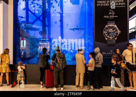 Dubaï, Émirats arabes Unis. 7 décembre 2023. Les visiteurs observent des poissons sauvages dans un aquarium situé dans le centre commercial de Dubaï, avec des reflets de vitrines de magasins sur le verre de l'aquarium dans le centre de Dubaï. La COP28, qui se déroule de novembre 30 à décembre 12, se concentre sur la façon dont des nations particulières ont géré la réalisation de leurs objectifs climatiques. La Conférence de Dubaï se concentre également sur les communautés les plus vulnérables et sur le Fonds pour pertes et dommages. (Image de crédit : © Dominika Zarzycka/SOPA Images via ZUMA Press Wire) USAGE ÉDITORIAL SEULEMENT! Non destiné à UN USAGE commercial ! Banque D'Images