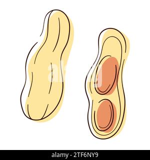 Icône de cacahuète dans le style d'art de ligne et de couleur. Conception pour paquet de beurre d'arachide. Illustration vectorielle isolée sur fond blanc. Illustration de Vecteur