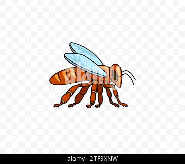 Abeille, insecte, animal, rucher et apiculture, graphisme. Abeille, jardin d'abeilles et apiculture, conception vectorielle et illustration Illustration de Vecteur