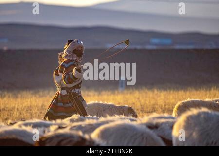 (231220) -- NYIMA, 20 déc. 2023 (Xinhua) -- Tenzin ramène des moutons à l'abri dans la ville de Ngoqu, dans le comté de Nyima de la ville de Nagqu, dans la région autonome de Xizang, au sud-ouest de la Chine, le 18 décembre 2023. Ngoqu Town est situé dans Qiangtang Grassland, avec une altitude moyenne de plus de 5 000 mètres. Tenzin, une fillette de 21 ans de la ville de Ngoqu, broute plus de 380 moutons dans les prairies. Bien que la température la nuit soit proche de moins 20 degrés Celsius récemment, Tenzin ne s'inquiète pas pour les moutons la nuit, car ils ont vécu dans des hangars modernes financés par le gouvernement. Ces nouveaux hangars sont principalement en brique-c. Banque D'Images