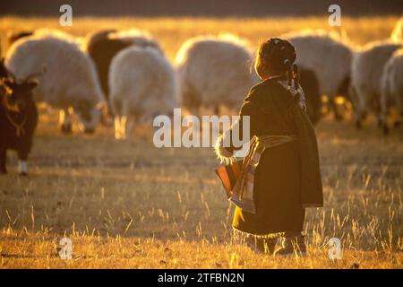 (231220) -- NYIMA, 20 déc. 2023 (Xinhua) -- la petite sœur de Tenzin court vers des moutons dans la ville de Ngoqu, dans le comté de Nyima de la ville de Nagqu, dans la région autonome de Xizang, au sud-ouest de la Chine, le 18 décembre 2023. Ngoqu Town est situé dans Qiangtang Grassland, avec une altitude moyenne de plus de 5 000 mètres. Tenzin, une fillette de 21 ans de la ville de Ngoqu, broute plus de 380 moutons dans les prairies. Bien que la température la nuit soit proche de moins 20 degrés Celsius récemment, Tenzin ne s'inquiète pas pour les moutons la nuit, car ils ont vécu dans des hangars modernes financés par le gouvernement. Ces nouveaux hangars sont mainl Banque D'Images