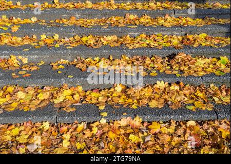 Les feuilles d'automne tombèrent sur les marches Banque D'Images