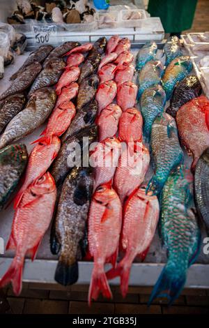 Polynésie française, Tahiti, Papeete, poissons colorés au marché local Banque D'Images