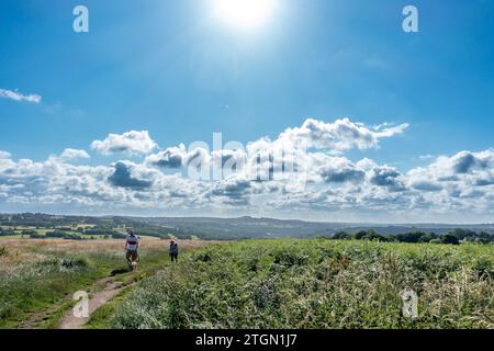 Deux personnes promenant un chien sur Baildon Moor et portant un sac de caca en été, West Yorkshire, Angleterre, Royaume-Uni Banque D'Images