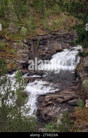 Photographie verticale montrant les cascades de la rivière Orkla alors qu'elle serpente à travers des falaises de granit avec une forêt de conifères bordant ses rives, captur Banque D'Images