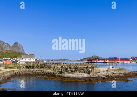 Râteliers de morue (Stockfish) dans le port de Reine sur l'île Lofoten, se prélasser sous le soleil d'été sous un ciel bleu clair en Norvège Banque D'Images