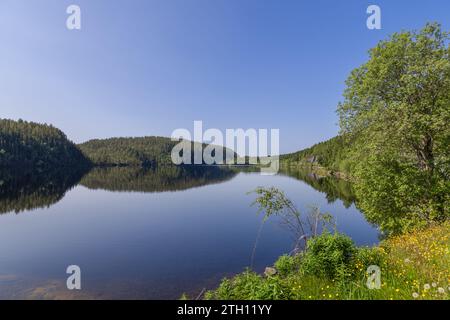 Une vue panoramique de Snasavatnet à Steinkjer, en Norvège, montrant des rives boisées denses reflétées dans les eaux calmes du lac Banque D'Images
