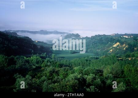 Paysage avec brouillard dans le Val d'Elsa. Barberino Val d'Elsa, Toscane, Italie. Banque D'Images