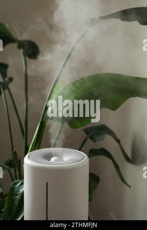 Diffuseur ultrasonique, purificateur d'air, humidificateur libère le flux du hammam froid pour la croissance appropriée de la plante d'intérieur. Soin hydratation des plantes dans l'air sec. AR Banque D'Images
