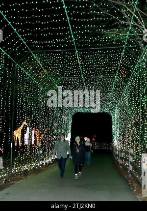 Les gens qui apprécient l'exposition de lumière de vacances Wild Lights du zoo de Detroit Banque D'Images