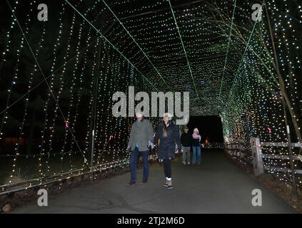 Les gens apprécient l'exposition lumineuse de Noël Wild Lights du zoo de Détroit Banque D'Images