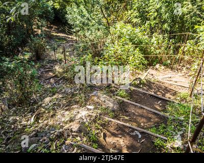 La promenade levada de Monte à Funchal à Madère, connue sous le nom de Levada do BOM Sucesso e Zona Velha. Banque D'Images