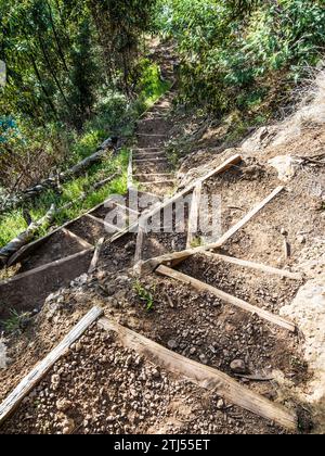 La promenade levada de Monte à Funchal à Madère, connue sous le nom de Levada do BOM Sucesso e Zona Velha. Banque D'Images