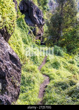 La promenade levada de Monte à Funchal à Madère, connue sous le nom de Levada do BOM Sucesso e Zona Velha. Banque D'Images