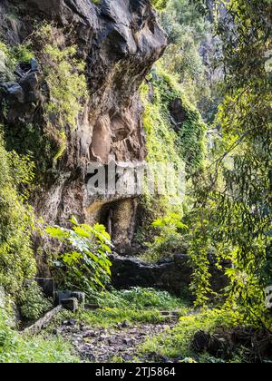 La promenade levada de Monte à Funchal à Madère, connue sous le nom de Levada do BOM Sucesso e Zona Velha. Banque D'Images