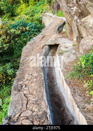 La promenade levada de Monte à Funchal à Madère, connue sous le nom de Levada do BOM Sucesso e Zona Velha. Banque D'Images