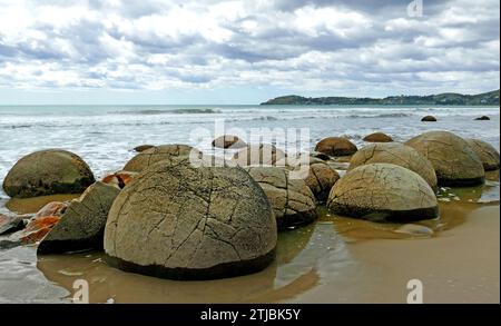 Les Moeraki Boulders sont des rochers sphériques exceptionnellement grands qui se trouvent le long d'une partie de la plage de Koekohe sur la côte d'Otago coupée par les vagues en Nouvelle-Zélande entre Moeraki et Hampden. Ils sont dispersés soit comme isolés, soit comme des grappes de rochers dans une étendue de plage où ils ont été protégés dans une réserve scientifique. Ces rochers sont des concrétions septaires de couleur grise, qui ont été exhumées de la mudstone et du substrat rocheux les entourant et concentrées sur la plage par l'érosion côtière, en particulier ces dernières années, les rochers ont été une attraction touristique populaire crédit : BSpragg Banque D'Images