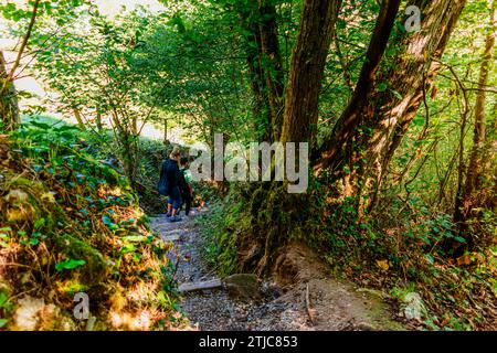 Randonneurs empruntant la route des Xanas. Au bout de la gorge, le chemin entre dans une forêt. Villanueva - Pedroveya, Santo Adriano - Quirós, Principauté d'Astu Banque D'Images