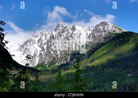 Montagnes des Hautes Tatras de Slovaquie. Hrebienok - marcher jusqu'à Vodop‡dy StudenŽho potoka - près de Hrebienok, Slovaquie. Crédit : JHelebrant Banque D'Images