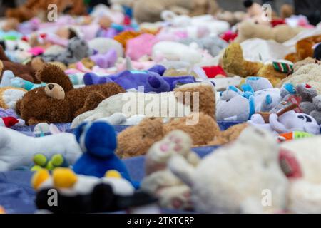 500 Teddies sont placés à Truro pour symboliser la mort de 8 000 enfants de Gaza lors des frappes aériennes israéliennes Banque D'Images