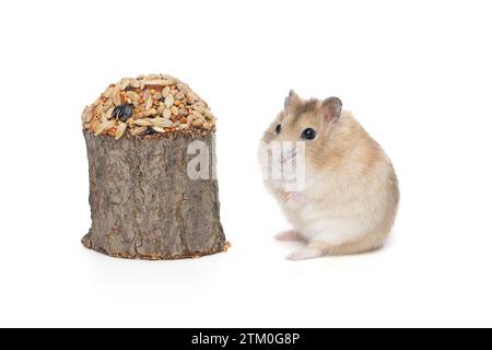 Petit hamster dzhungarian brun et une délicatesse de grain, isolé sur un fond blanc Banque D'Images