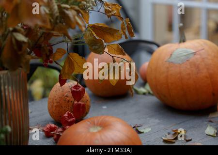 Citrouilles sur une table en bois à la veille d'Halloween. Citrouille orange et feuilles d'automne sur une table de pique-nique en automne. Feuillage automnal coloré. Campagne Banque D'Images