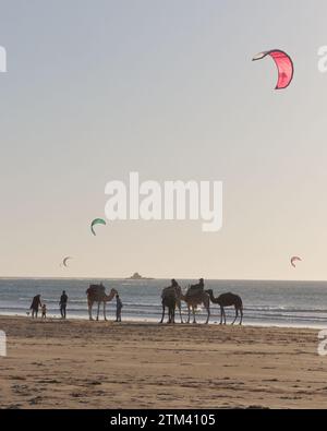 Chameaux cavaliers et cerfs-volants volant sur une plage de sable à Essaouira 'la ville venteuse' un soir d'hiver, Maroc. 20 décembre 2023 Banque D'Images