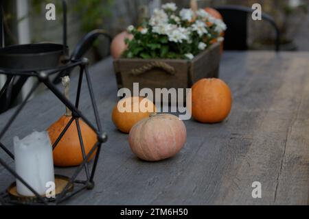 Citrouilles sur une table en bois à la veille d'Halloween. Réglage de table de vacances sur le thème de l'automne pour la fête saisonnière, citrouilles, bougies, fleurs sauvages. Pum orange Banque D'Images