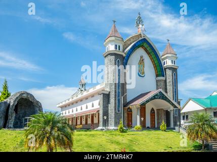 Façade de l'église catholique Velankanni Matha avec palmiers au premier plan, Nedumkandom, Kerala, Inde du Sud Banque D'Images