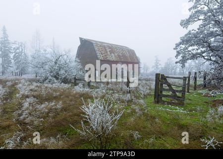 Une vieille grange se dresse dans un champ partiellement enneigé par une journée brumeuse de début d'hiver dans le nord de l'Idaho. Banque D'Images