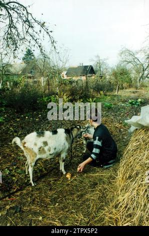 Gomel (Bélarus), 11/9/2000. Le "village de la mort", dans l'épicentre de la zone la plus touchée par la tragédie de la centrale nucléaire de Tchernobyl. Une femme cultivant son jardin.photos : Manuel Ramírez. Crédit : Album / Archivo ABC / Manuel Ramírez Fernández de Córdoba Banque D'Images