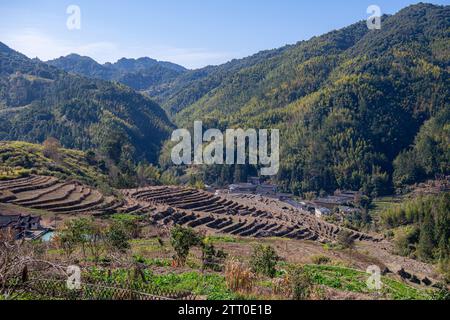 Vue rapprochée aérienne des rizières en terrasses et des bâtiments Tulou, les habitations uniques de Hakka dans le Fujian, en Chine. Image d'arrière-plan Banque D'Images